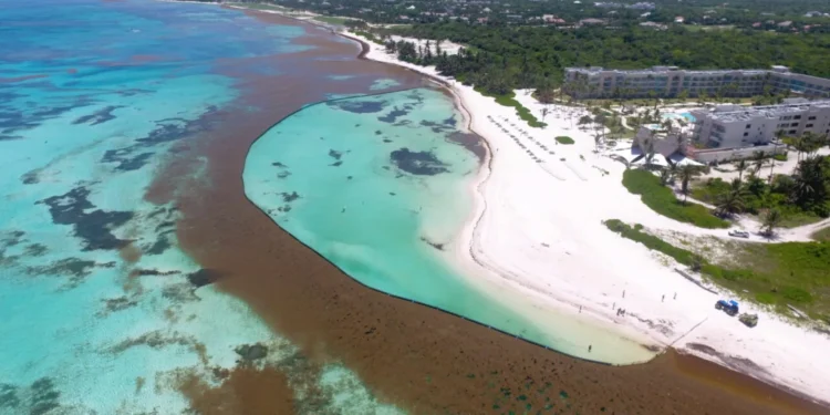 Abinader crea el Gabinete de Lucha Contra el Sargazo